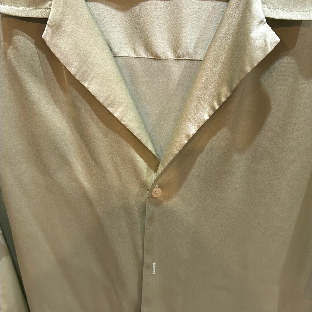 Pale Green Casual Button Down Shirt with Classic Collar